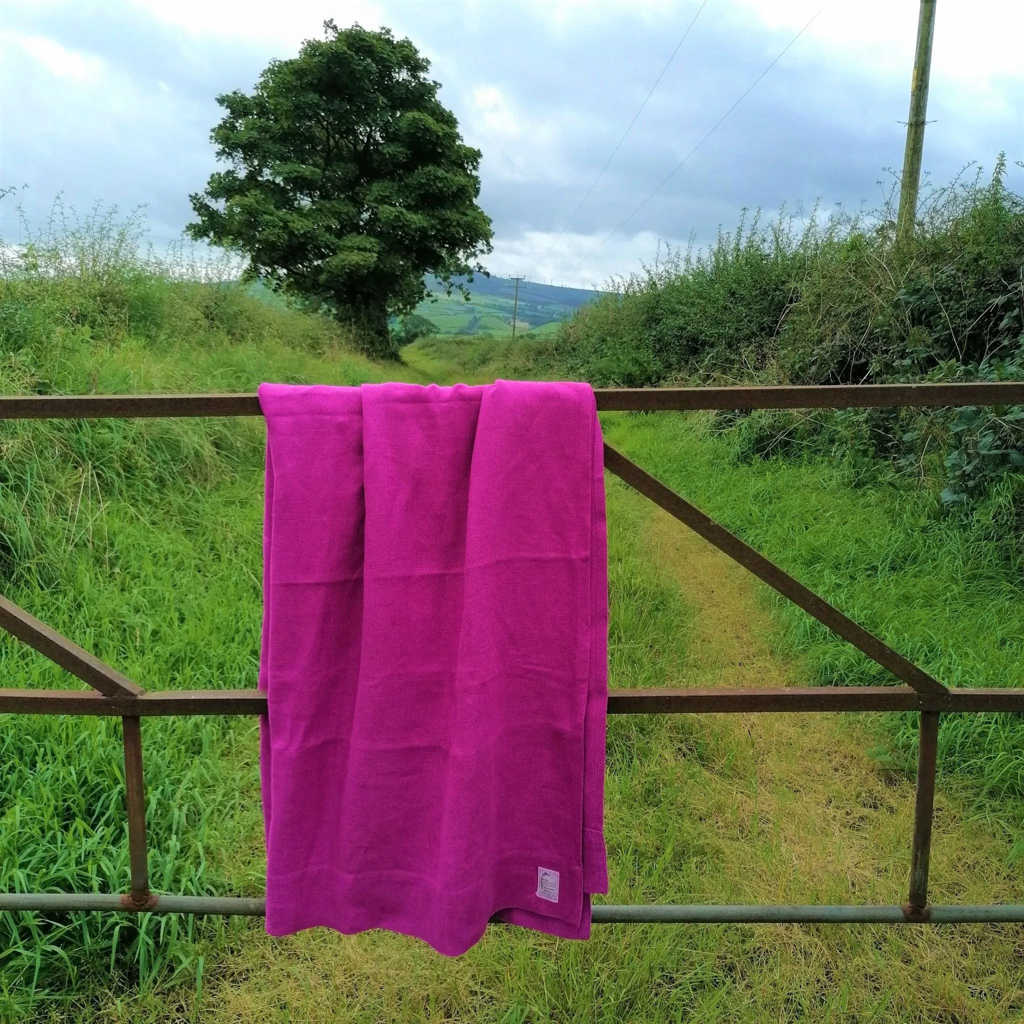 Fever Blankets