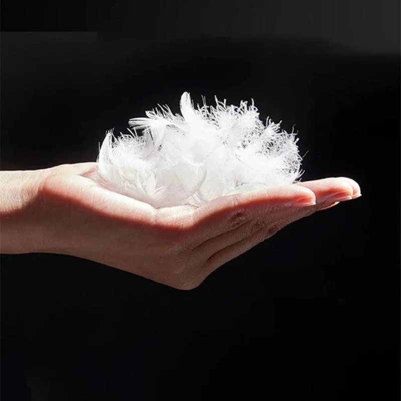 White Goose Feather Pillow